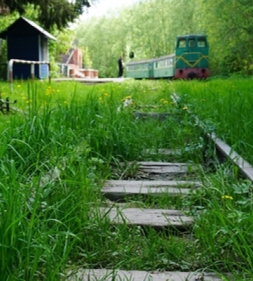 Біля луцької дитячої залізниці прочистять хащі