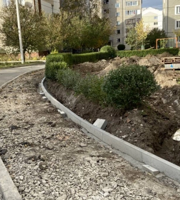 Сакури, магнолії, верби: в Франківську озеленять прибудинкову територію за 300 тисяч гривень