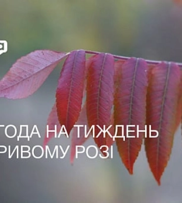 Погода на тиждень у Кривому Розі