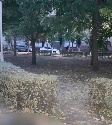 На Миколаївщині пиятика двох чоловіків на лавочці закінчилася різаниною та вбивством