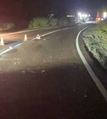 Поліція розшукує водія, який вчинив смертельну ДТП на Львівщині і втік