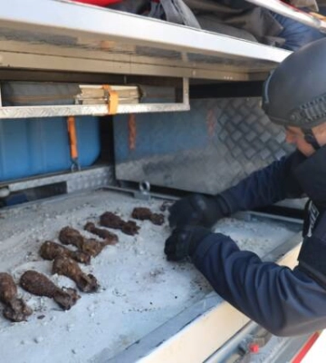 У Кропивницькому знайшли десяток мін часів Другої світової 