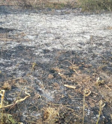 Оштрафують жительку Одещини, яка спалювала сміття
