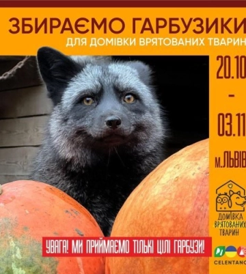 Для Домівки врятованих тварин збирають гарбузи