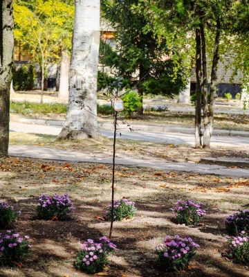 В Днепропетровской области вырвали цветы, высаженные в память об убитом российской ракетой мальчике