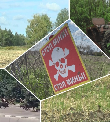 «Можемо вже їх не побачити»: як війна змінює світ диких звірів на Харківщині