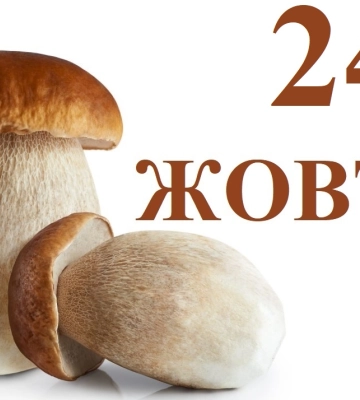 Сегодня 24 октября: какой праздник и день в истории