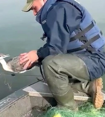 На Полтавщині водна поліція врятувала птаха, який заплутався в браконьєрських сітках