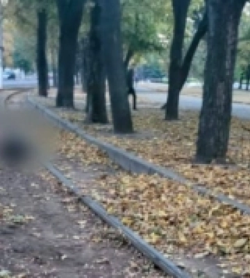 На трамвайних коліях в Одесі виявили тіло чоловіка та собаки