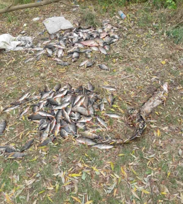 На Кіровоградщині біля річки зловили браконьєрів