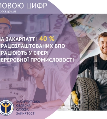На Закарпатті 40 % працевлаштованих ВПО працюють у сфері переробної промисловості