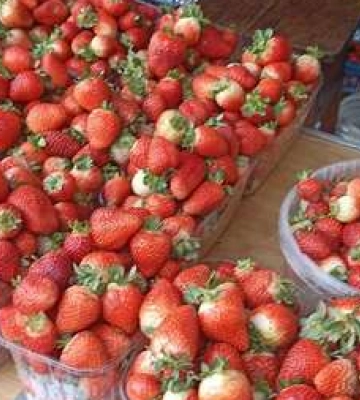 Не сезон: яка ціна на полуницю на луцьких ринках