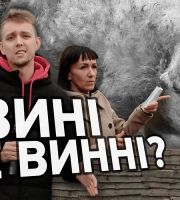 Сусіди вимагають закрити свиноферму. Бруд та антисанітарія!