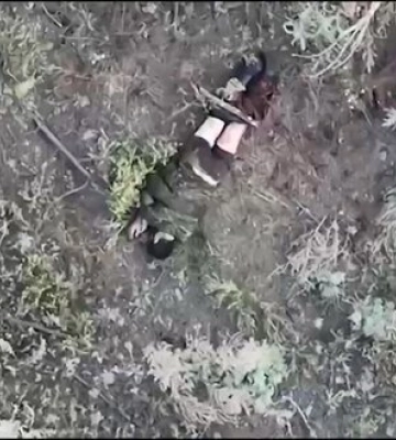 Бійці 95 ОДШБр завдали удару по окупантах на Луганщині. ВIДЕО