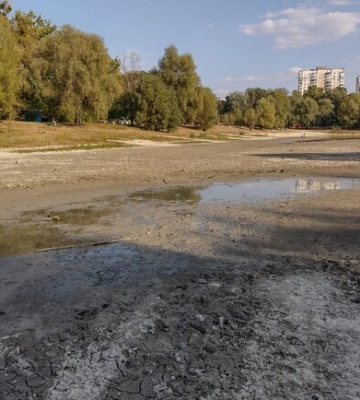В Киеве ищут исполнителя работ для расчистки озера Синее