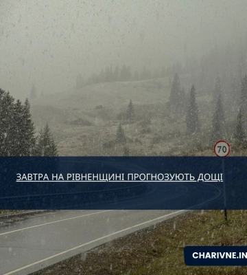 Уночі та вранці у Львові - сильний дощ і пориви вітру