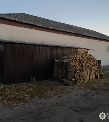 Напилили дерев на мільйон: працівники ДП на Харківщині незаконно рубали дерева