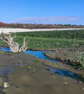 Вербове море. Або що зараз відбувається на місці Каховського водосховища