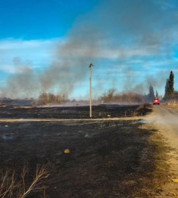 На Миколаївщині знову доба пожеж сухостоїв