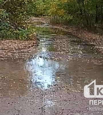 Мешканці Кривого Рогу скаржаться на забиті стоки та воду, що тече вулицею
