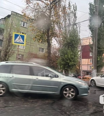 У Кривому Розі висадять дерева та кущі