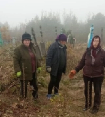 У селі Шаччини на Волині прибрали кладовище
