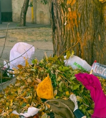 Внаслідок звернення екологів, в центральному районі міста ліквідовано стихійне сміттєзвалище