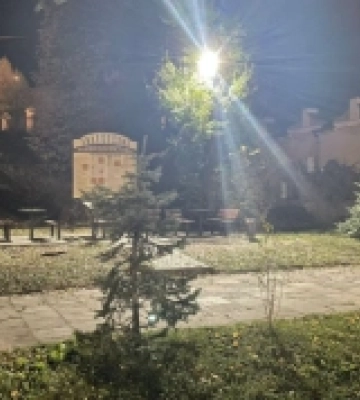 В Острозі молоді люди напідпитку слухали російську музику біля Алеї Героїв