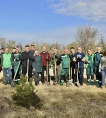 У четвер, 26 жовтня у Миколаєві відбулась акція з озеленення