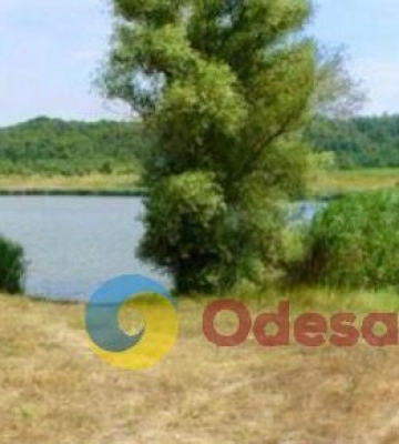 Увімкнула музику і на смерть переїхала відпочиваючого: мешканку Подільського району судитимуть