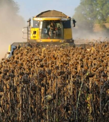 ДП «Конярство України» заборгувало 4 млн грн податків, – Онуфріївська селищна рада