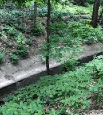 Експосадовця КП “Плесо” підозрюють у розчистці струмка Вершинка зі збитками на 2 млн гривень
