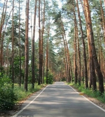 На Полтавщині хочуть створити два нові ландшафтні заказники