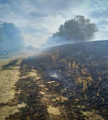 На Одещині покарали чергового палія сухої рослинності