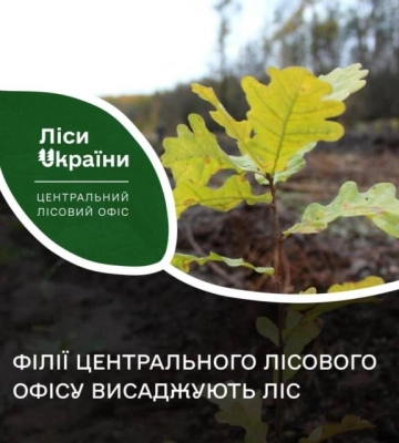 На Кіровоградщині висадили 31 гектар лісу в рамках програми «Зелена країна»