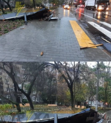 У Києві сильний вітер валить дерева та здуває дахи