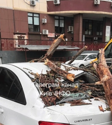У Києві 28 жовтня очікуються сильні пориви вітру – Укргідрометцентр