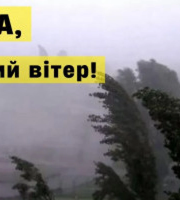 У Києві внаслідок падіння дерев від ураганного вітру загинув чоловік, є травмовані