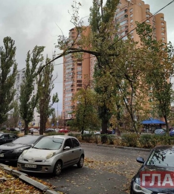 У столиці вже є перші жертви буревію
