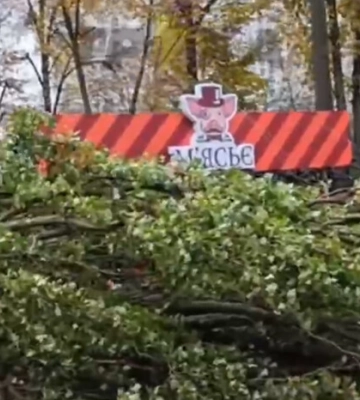 У Києві дерево розчавило кіоск із людьми (відео)