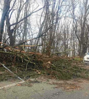 Ураганний вітер у Києві наробив біди, є жертви