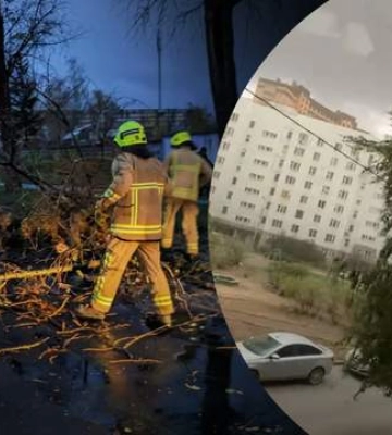 «Ветровой Армагеддон» в Киеве: сильный ветер вырывает в столице с корнем дерева и крушит рекламные конструкции (видео)