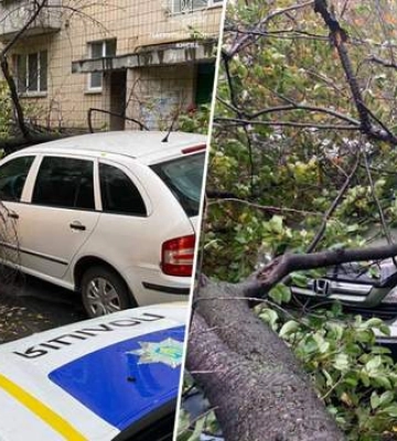 Непогода в Украине: из-за падения деревьев погибли люди в Киеве и Хмельницкой области