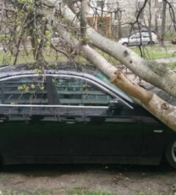 У Києві вітряний армагедон: негода валить дерева, є жертва,  фото, відео і всі подробиці