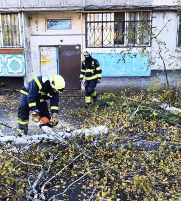У Києві внаслідок падіння дерева загинув чоловік