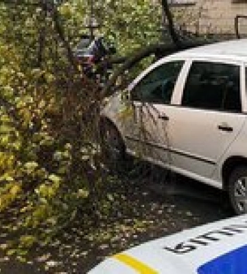 Шторм в Киеве: двое погибших, пострадавшие и разрушение