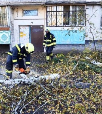 У Києві через падіння дерев загинули двоє людей, семеро - поранені