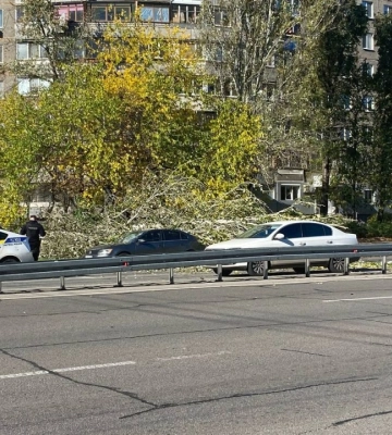Сильний вітер у Дніпрі: на автівку впало дерево