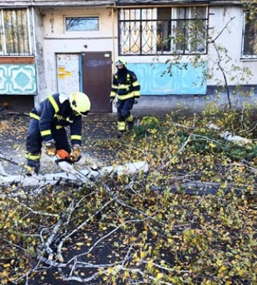 Непогода в Киеве: в результате падения дерева в Шевченковском районе погиб мужчина, женщина получила травму позвоночника