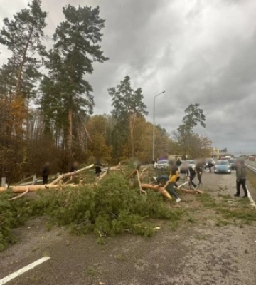 В Обухові на Київщині через сильний вітер сталася ДТП, є постраждалий